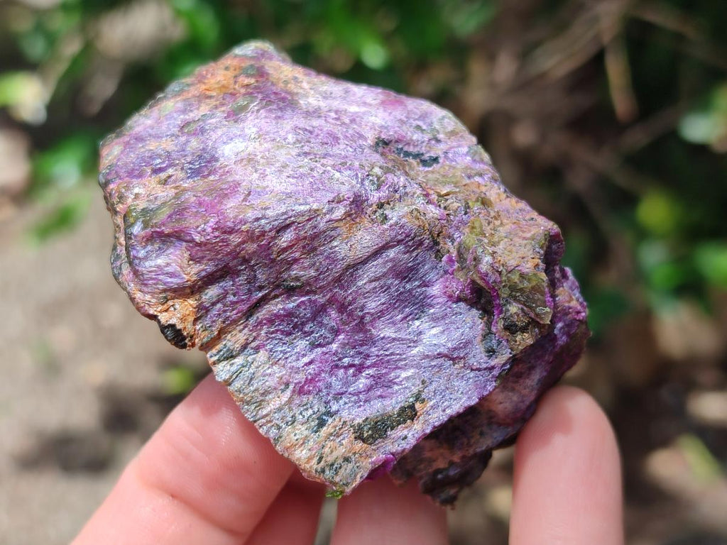 Natural Cobbed Stichtite Specimens x 24 From Barberton, South Africa