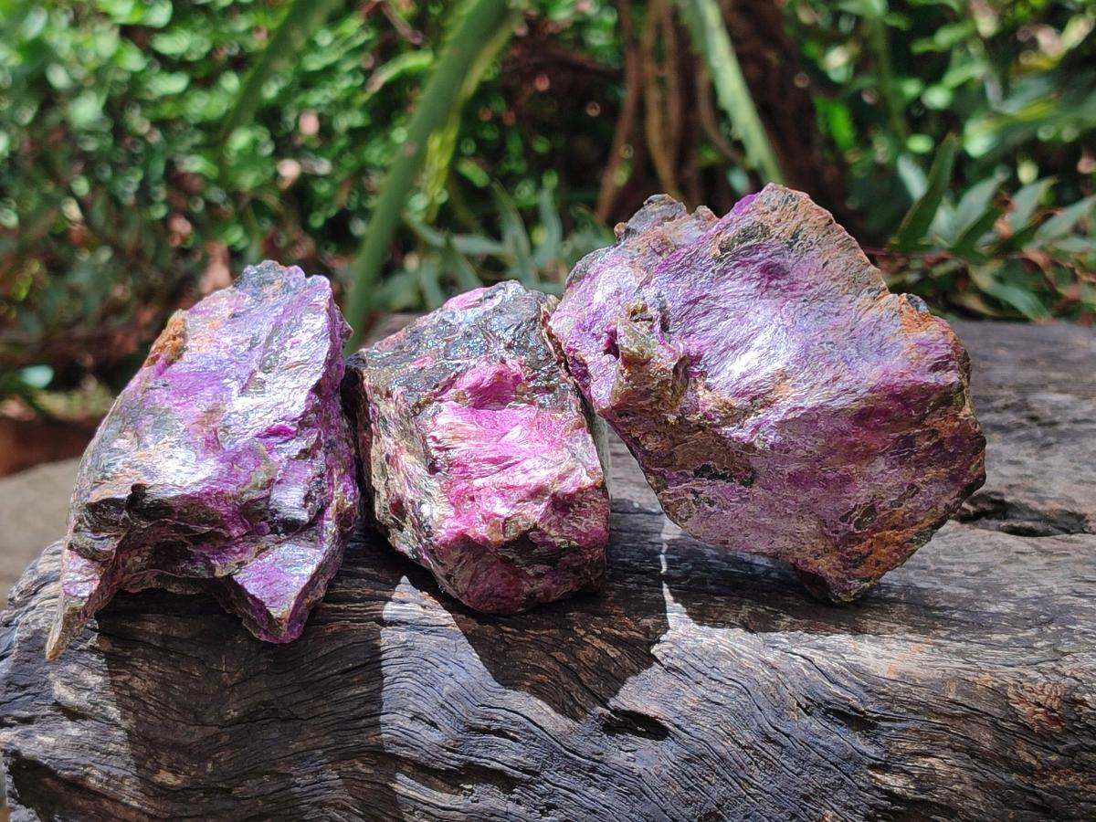 Natural Cobbed Stichtite Specimens x 24 From Barberton, South Africa