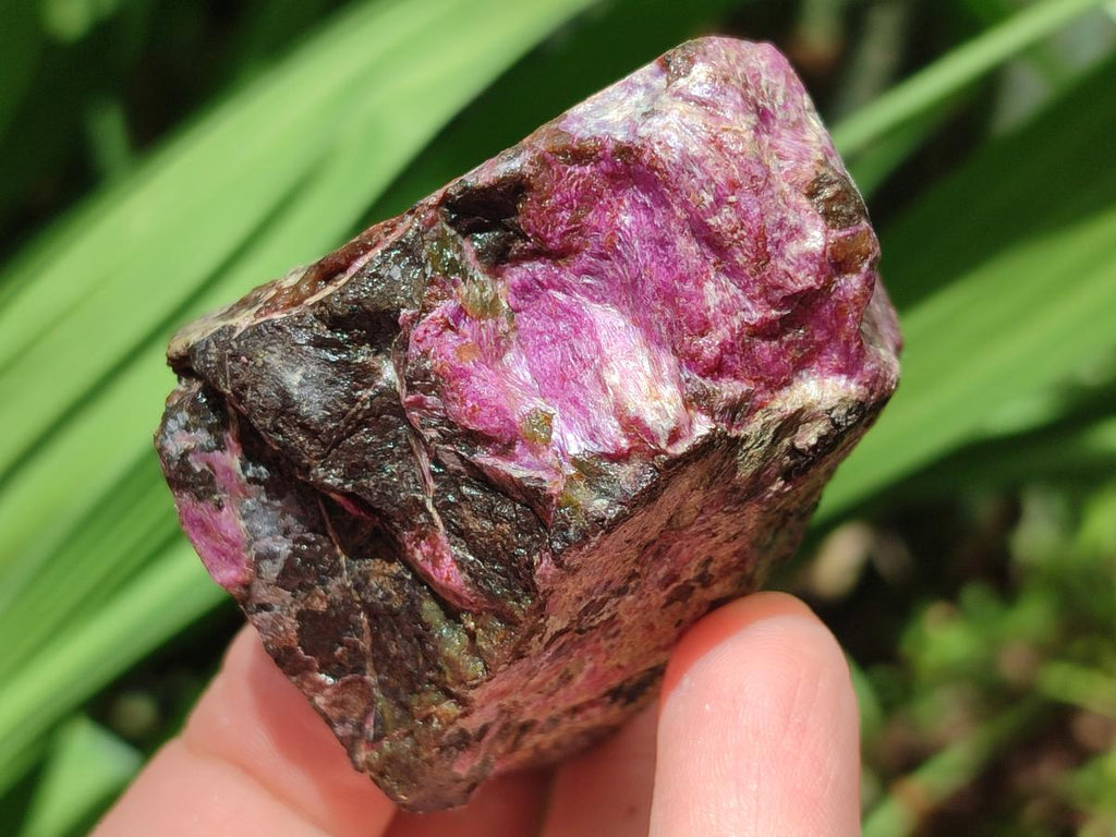 Natural Cobbed Stichtite Specimens x 24 From Barberton, South Africa