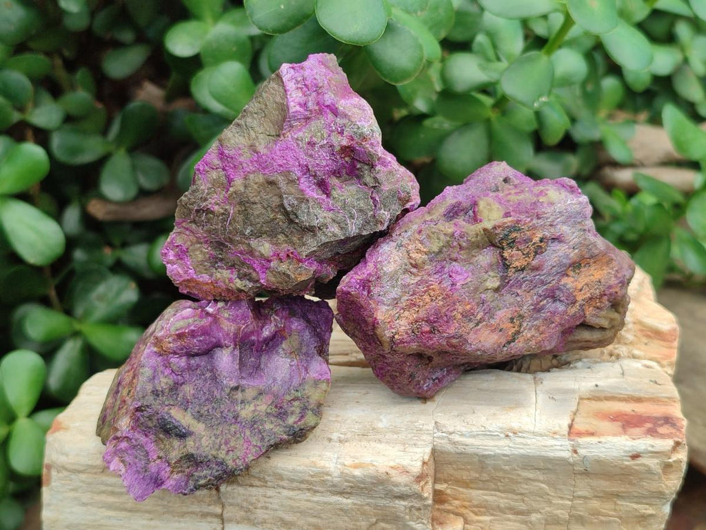 Natural Cobbed Stichtite Specimens x 24 From Barberton, South Africa