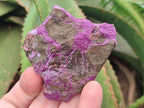 Natural Cobbed Stichtite Specimens x 24 From Barberton, South Africa