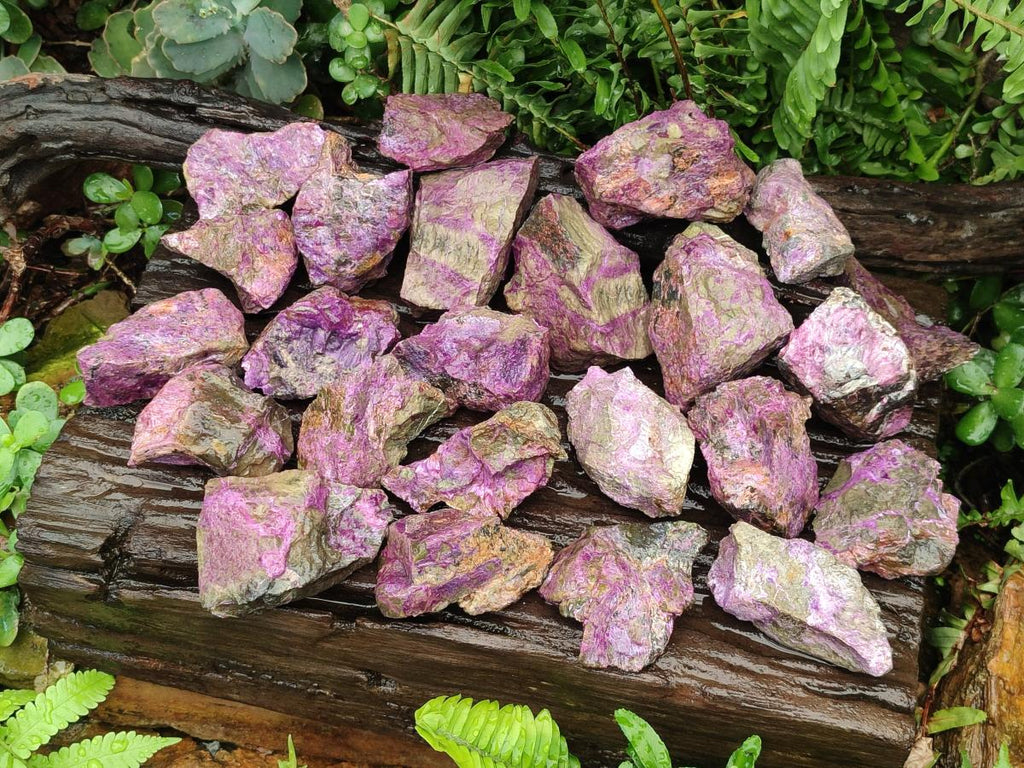Natural Cobbed Stichtite Specimens x 24 From Barberton, South Africa