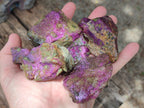 Natural Cobbed Stichtite Specimens x 24 From Barberton, South Africa