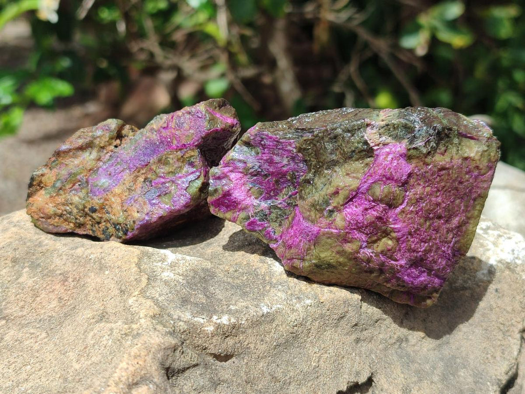 Natural Cobbed Stichtite Specimens x 24 From Barberton, South Africa