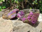 Natural Cobbed Stichtite Specimens x 24 From Barberton, South Africa