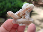 Natural Drusy Fairy Spirit Quartz Crystals x 70 From Boekenhouthoek, South Africa - Toprock Gemstones and Minerals 