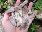 Natural Drusy Fairy Spirit Quartz Crystals x 70 From Boekenhouthoek, South Africa - Toprock Gemstones and Minerals 