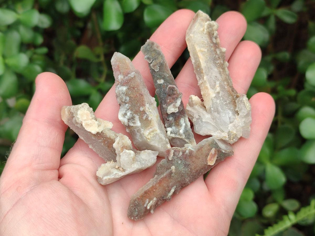 Natural Drusy Fairy Spirit Quartz Crystals x 70 From Boekenhouthoek, South Africa - Toprock Gemstones and Minerals 