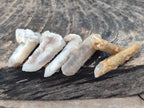 Natural Drusy Fairy Spirit Quartz Crystals x 70 From Boekenhouthoek, South Africa - Toprock Gemstones and Minerals 