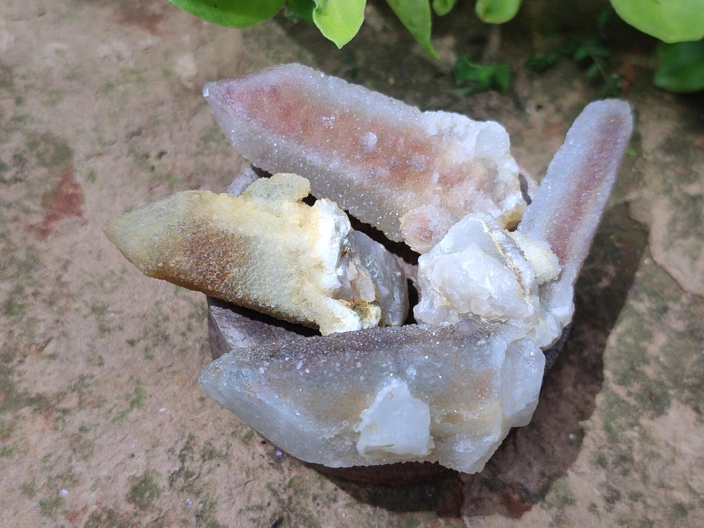 Natural Drusy Fairy Spirit Quartz Crystals x 70 From Boekenhouthoek, South Africa - Toprock Gemstones and Minerals 