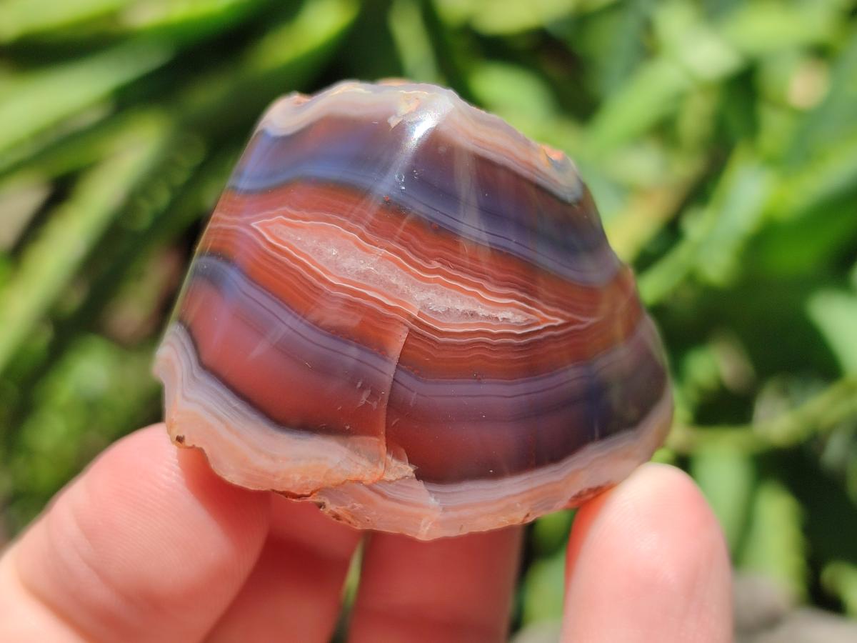 Polished One Side Red Shashe River Agate Nodules x 48 From Shashe River, Zimbabwe