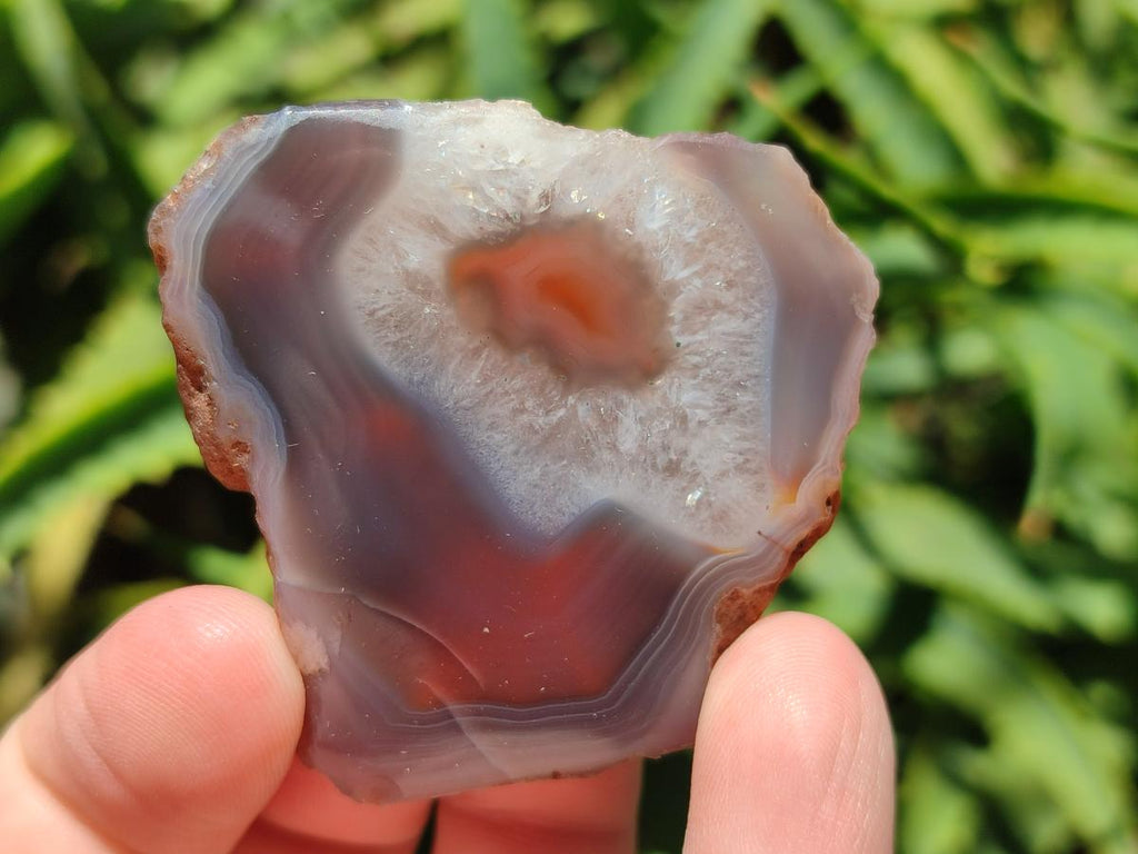 Polished One Side Red Shashe River Agate Nodules x 48 From Shashe River, Zimbabwe