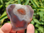 Polished One Side Red Shashe River Agate Nodules x 48 From Shashe River, Zimbabwe