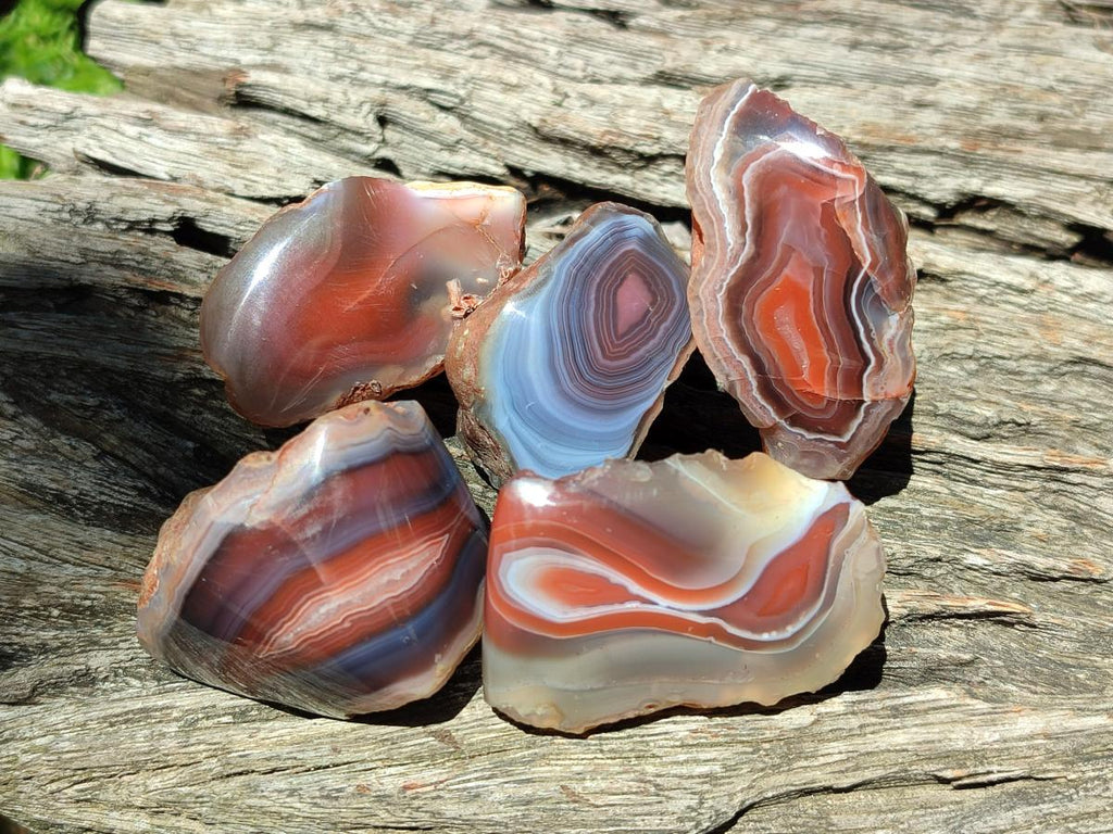 Polished One Side Red Shashe River Agate Nodules x 48 From Shashe River, Zimbabwe