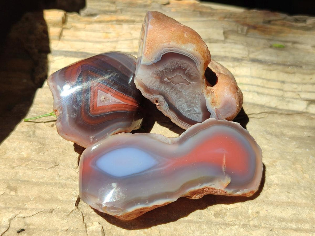 Polished One Side Red Shashe River Agate Nodules x 48 From Shashe River, Zimbabwe