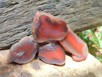 Polished One Side Red Shashe River Agate Nodules x 48 From Shashe River, Zimbabwe