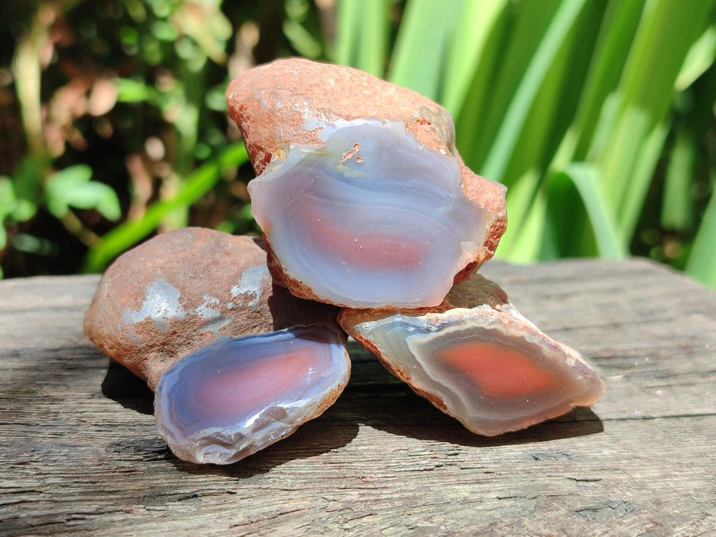 Polished One Side Red Shashe River Agate Nodules x 48 From Shashe River, Zimbabwe