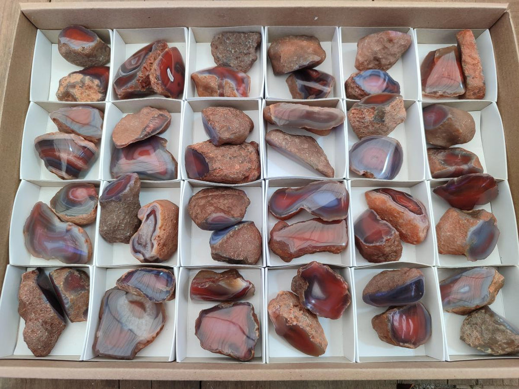 Polished One Side Red Shashe River Agate Nodules x 48 From Shashe River, Zimbabwe
