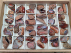 Polished One Side Red Shashe River Agate Nodules x 48 From Shashe River, Zimbabwe