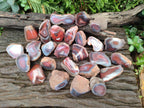 Polished One Side Red Shashe River Agate Nodules x 48 From Shashe River, Zimbabwe