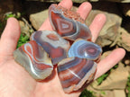 Polished One Side Red Shashe River Agate Nodules x 48 From Shashe River, Zimbabwe