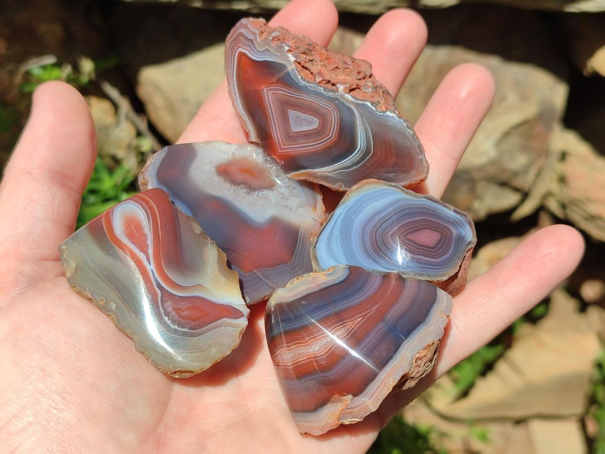 Polished One Side Red Shashe River Agate Nodules x 48 From Shashe River, Zimbabwe