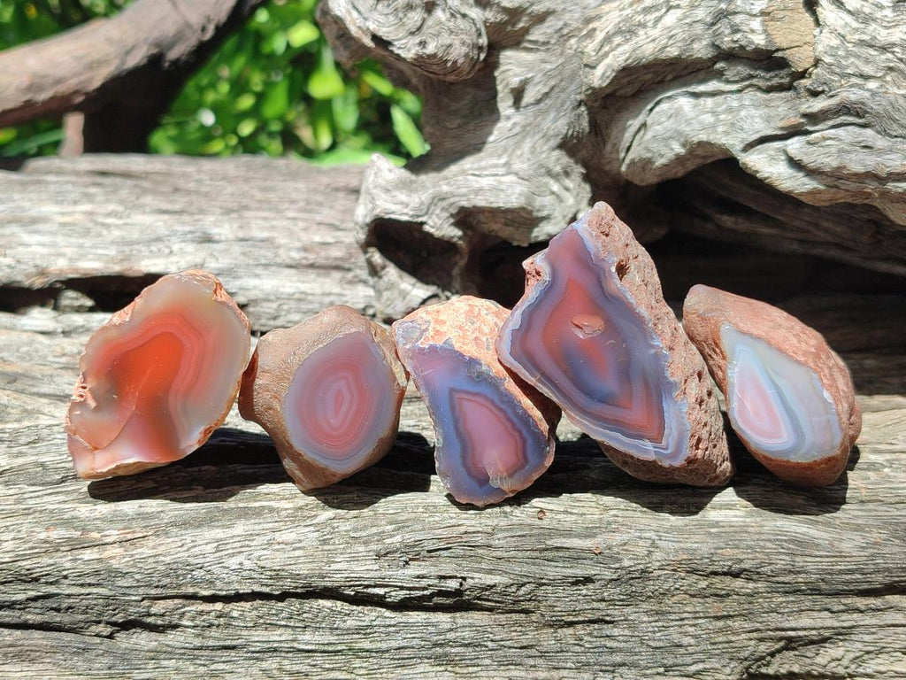 Polished One Side Red Shashe River Agate Nodules x 48 From Shashe River, Zimbabwe