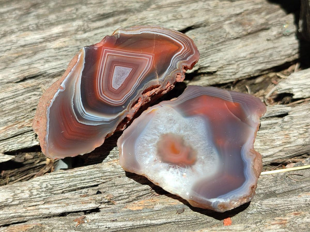 Polished One Side Red Shashe River Agate Nodules x 48 From Shashe River, Zimbabwe