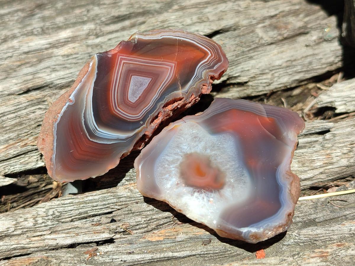 Polished One Side Red Shashe River Agate Nodules x 48 From Shashe River, Zimbabwe