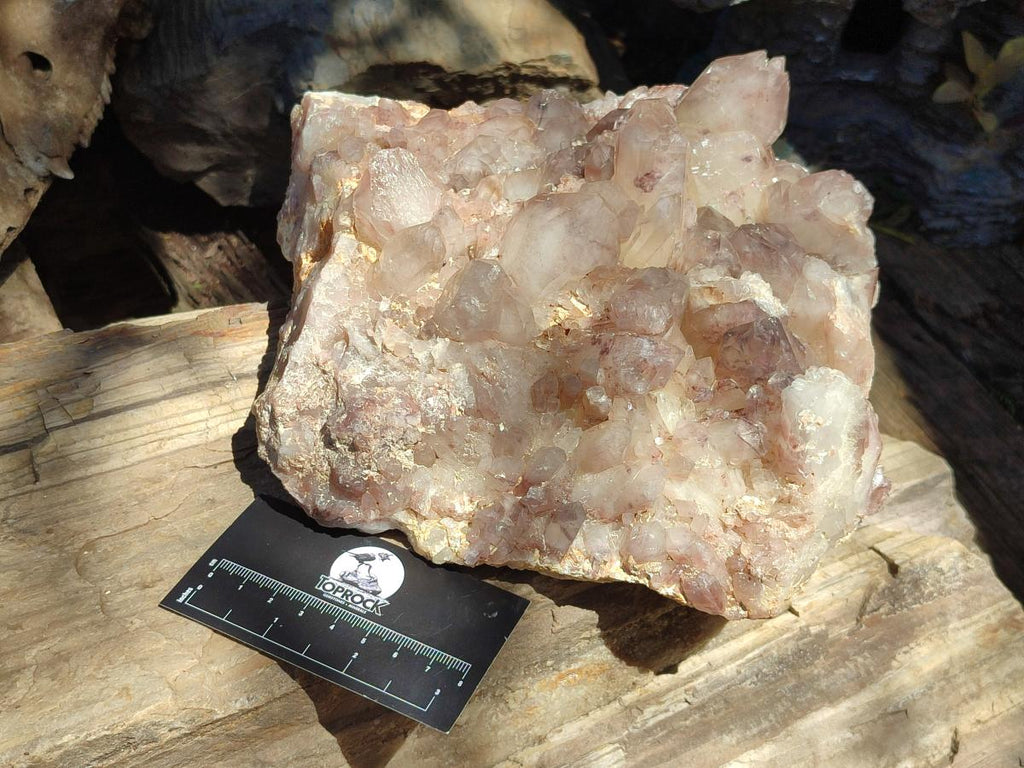 Natural Large Red Hematoid Quartz Crystal Cluster x 1 From Karoi, Zimbabwe