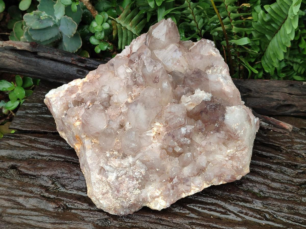 Natural Large Red Hematoid Quartz Crystal Cluster x 1 From Karoi, Zimbabwe