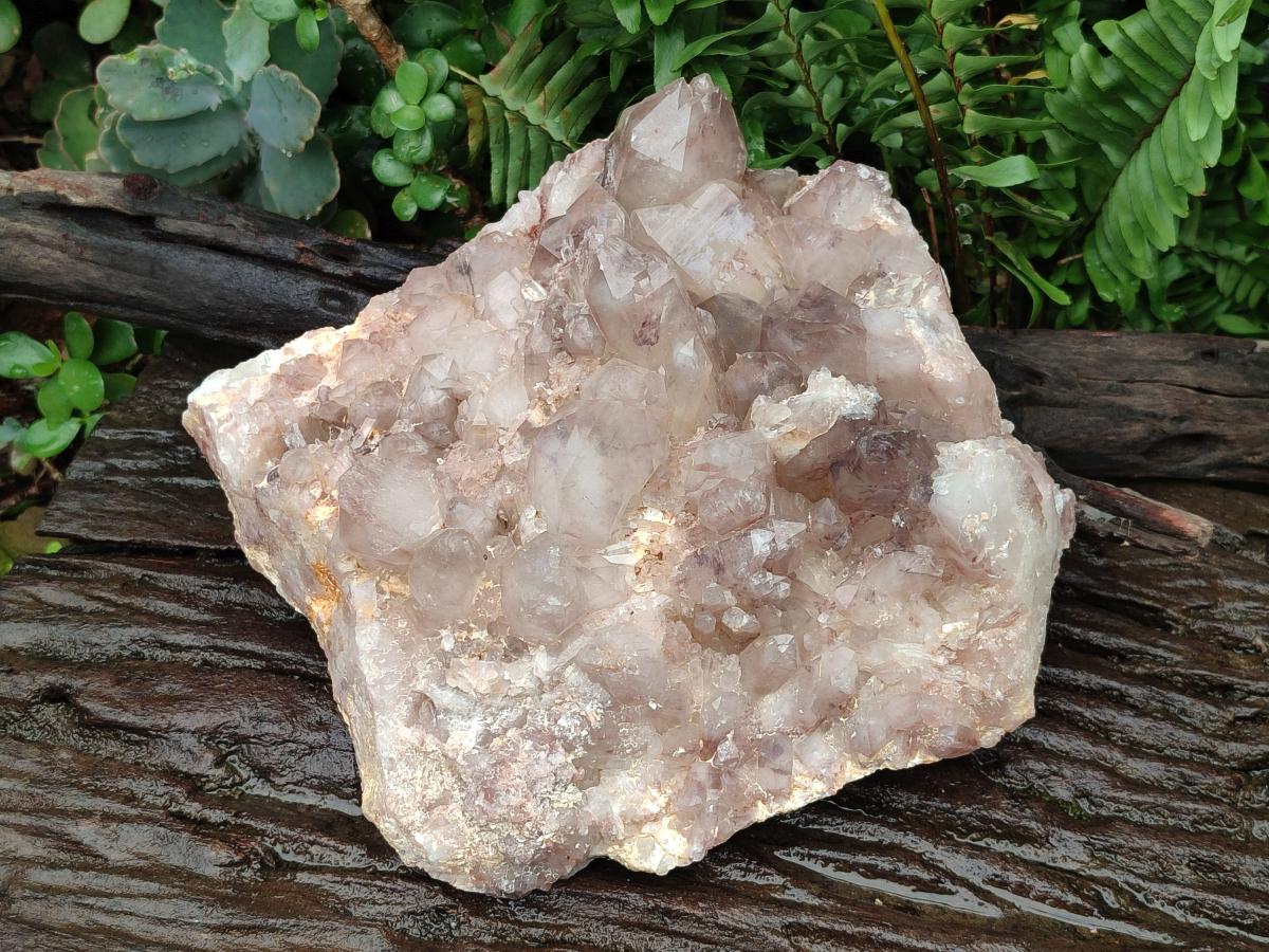 Natural Large Red Hematoid Quartz Crystal Cluster x 1 From Karoi, Zimbabwe