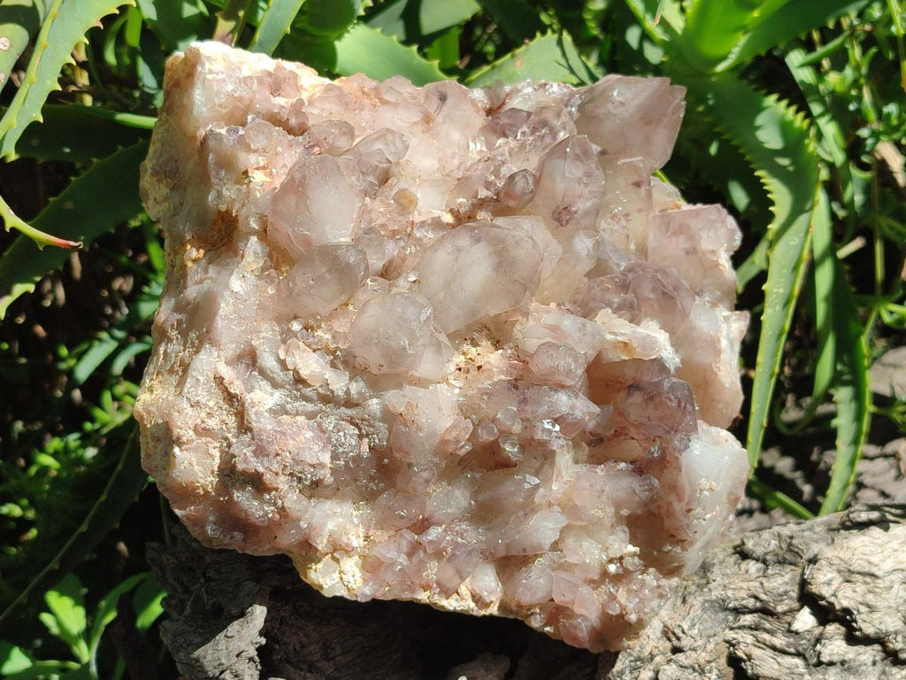 Natural Large Red Hematoid Quartz Crystal Cluster x 1 From Karoi, Zimbabwe