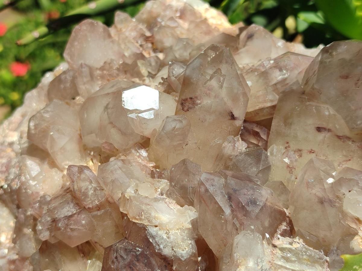 Natural Large Red Hematoid Quartz Crystal Cluster x 1 From Karoi, Zimbabwe