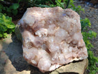 Natural Large Red Hematoid Quartz Crystal Cluster x 1 From Karoi, Zimbabwe