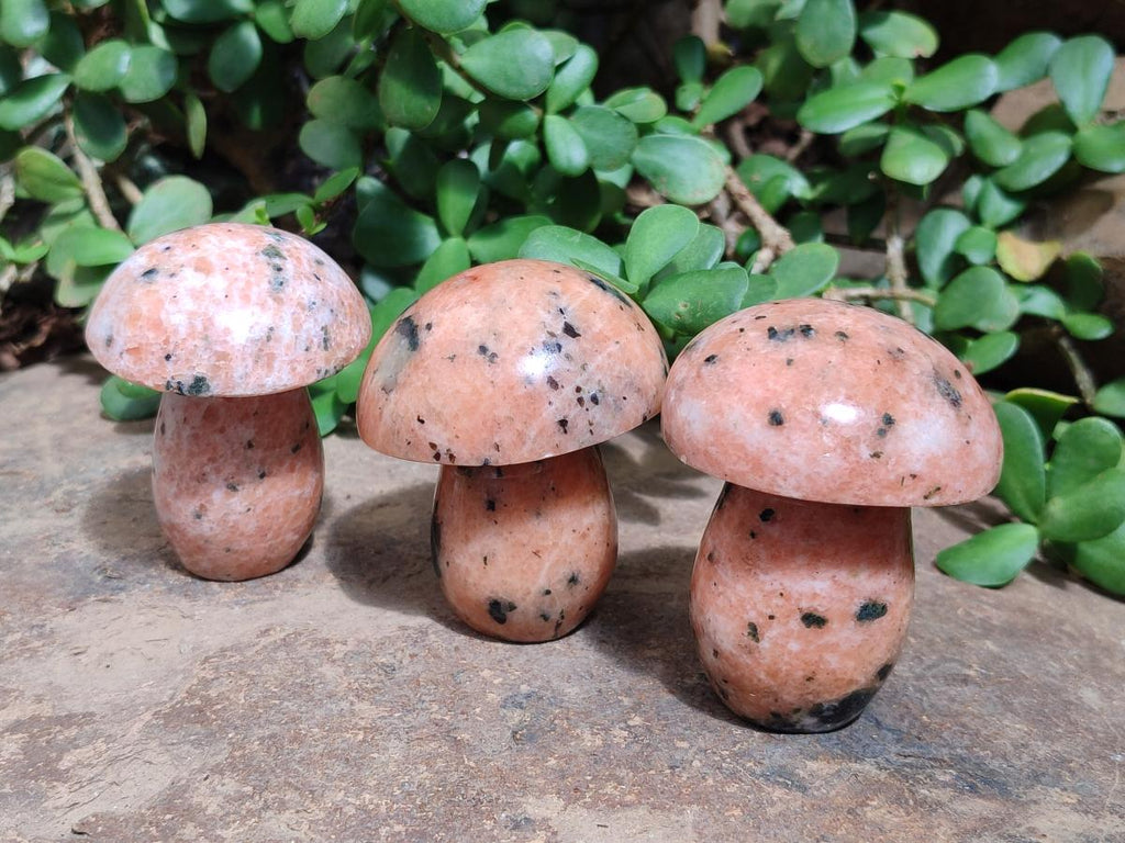 Polished Orange Calcite With Biotite Mushrooms x 6 From Madagascar