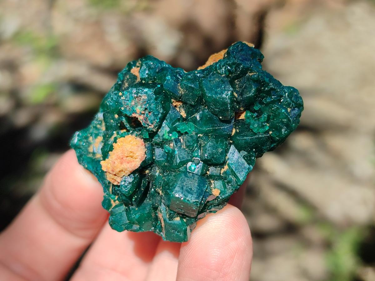 Natural Dioptase Specimens on Dolomite Matrix x 19 From Tantara Mine, Congo