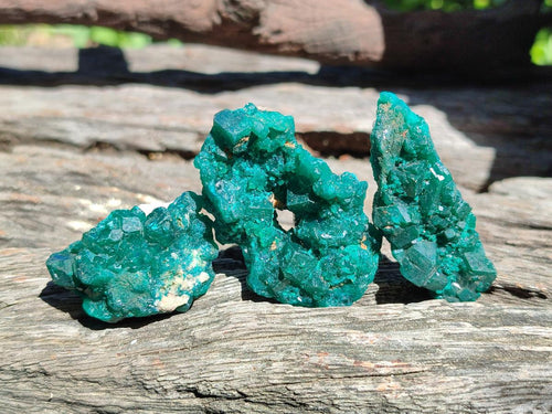 Natural Dioptase Specimens on Dolomite Matrix x 19 From Tantara Mine, Congo - Toprock Gemstones and Minerals 