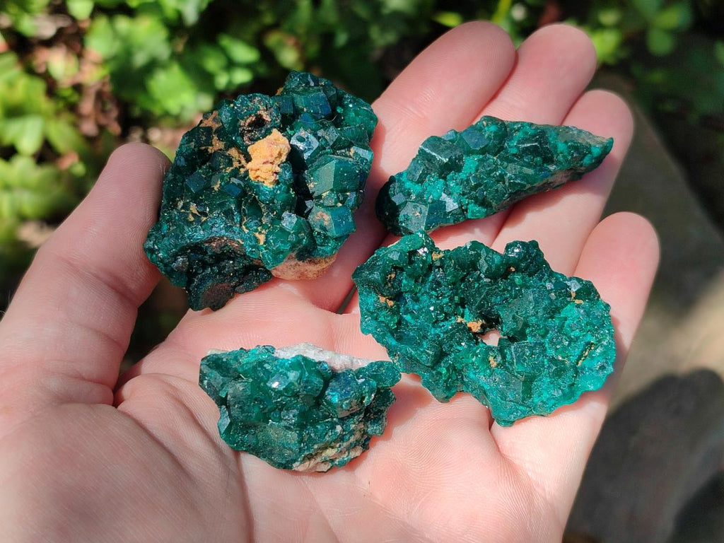 Natural Dioptase Specimens on Dolomite Matrix x 19 From Tantara Mine, Congo