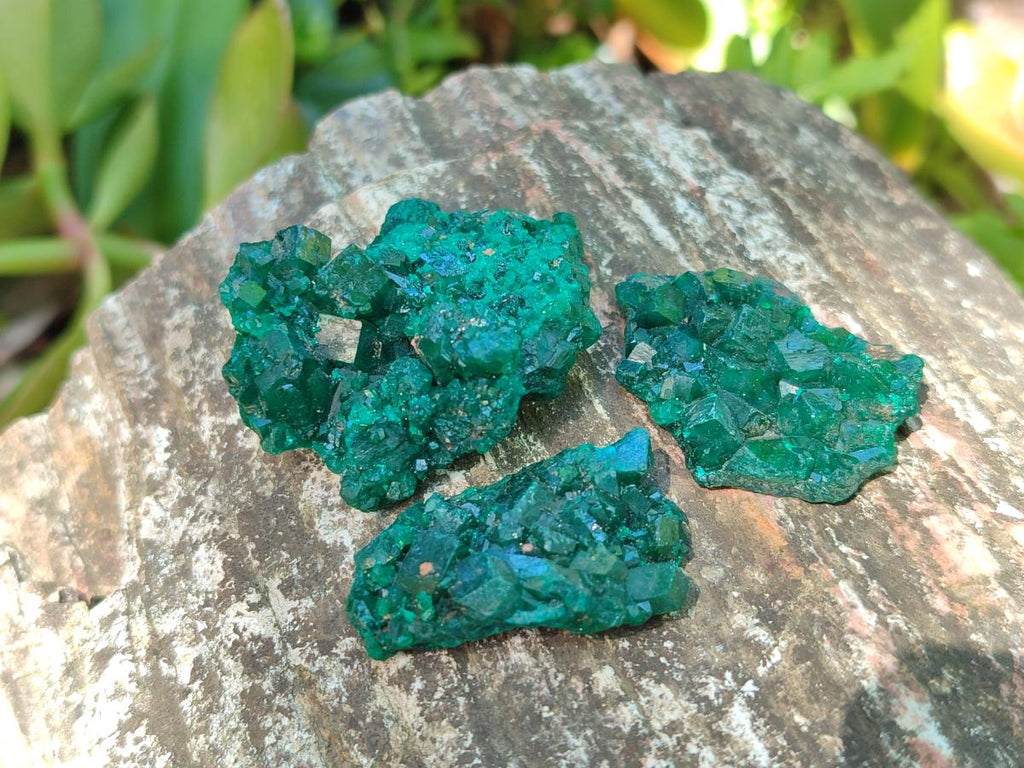Natural Dioptase Specimens on Dolomite Matrix x 19 From Tantara Mine, Congo