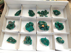 Natural Dioptase Specimens on Dolomite Matrix x 19 From Tantara Mine, Congo