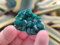 Natural Dioptase Specimens on Dolomite Matrix x 19 From Tantara Mine, Congo
