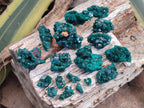 Natural Dioptase Specimens on Dolomite Matrix x 19 From Tantara Mine, Congo