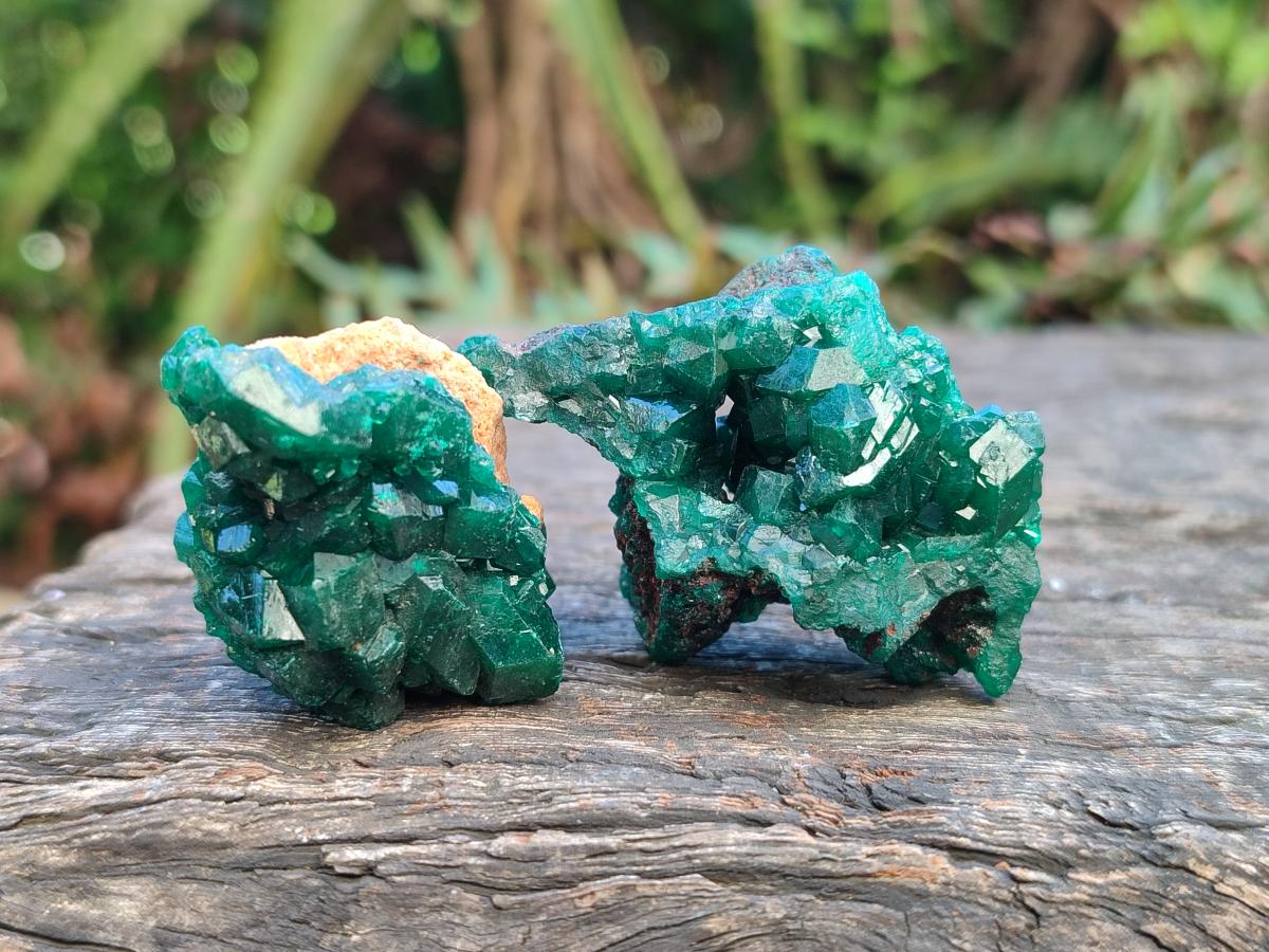 Natural Dioptase Specimens on Dolomite Matrix x 19 From Tantara Mine, Congo