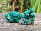 Natural Dioptase Specimens on Dolomite Matrix x 19 From Tantara Mine, Congo