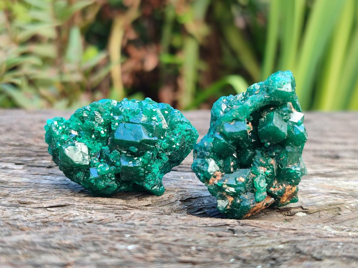 Natural Dioptase Specimens on Dolomite Matrix x 19 From Tantara Mine, Congo