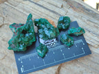 Natural Dioptase Specimens on Dolomite Matrix x 19 From Tantara Mine, Congo