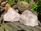 Natural Cobbed Rose Quartz Specimens x 14 From Northern Cape, South Africa