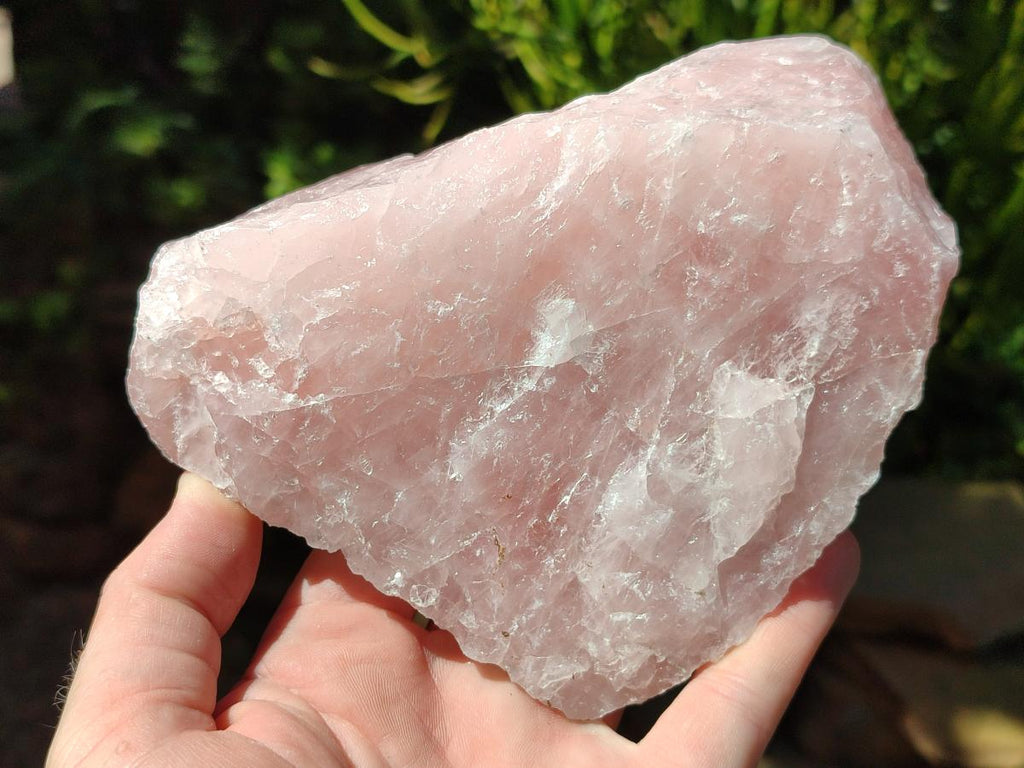 Natural Cobbed Rose Quartz Specimens x 14 From Northern Cape, South Africa