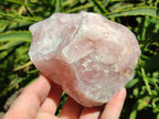 Natural Cobbed Rose Quartz Specimens x 14 From Northern Cape, South Africa